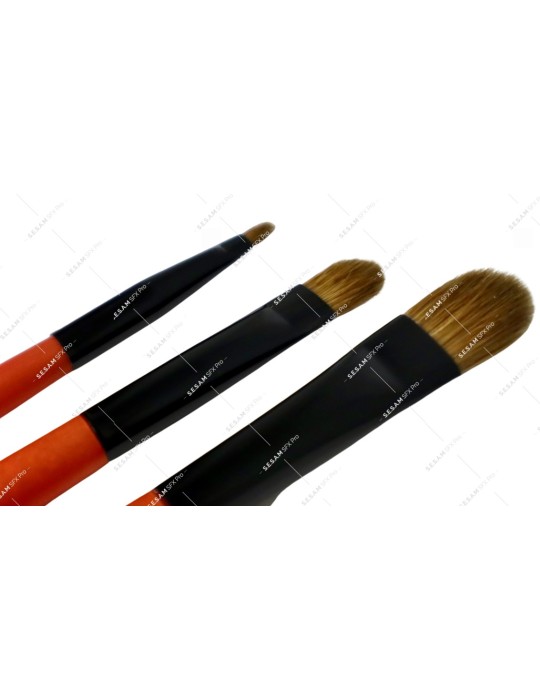 Lot de 3 pinceaux professionnels