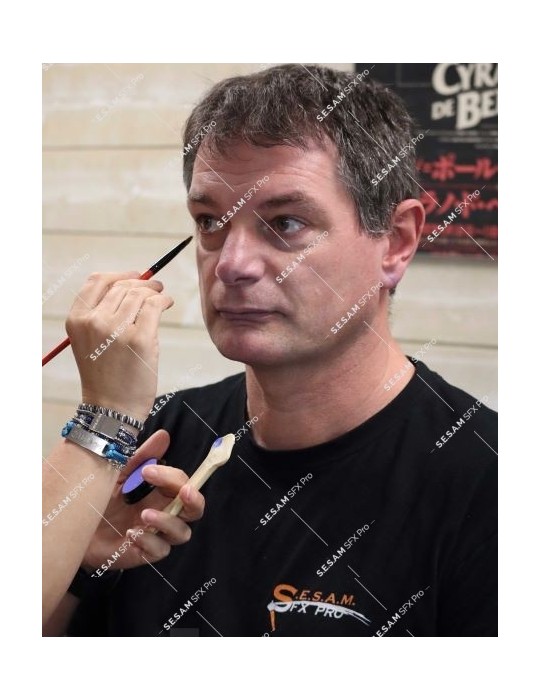 Lot de 3 pinceaux professionnels