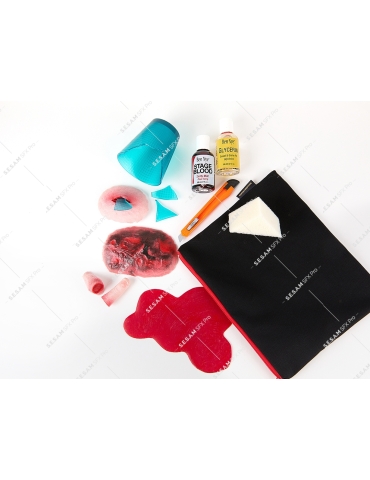 Trousse formation SST
