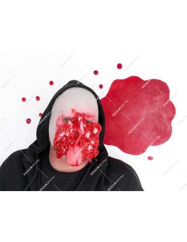 Délabrement facial 2