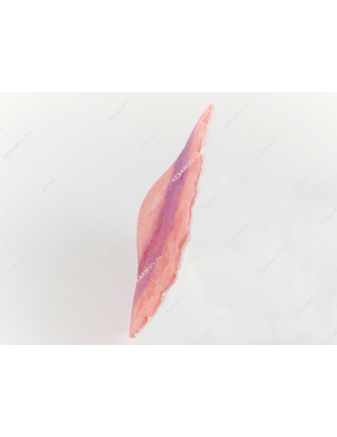 Fracture 2