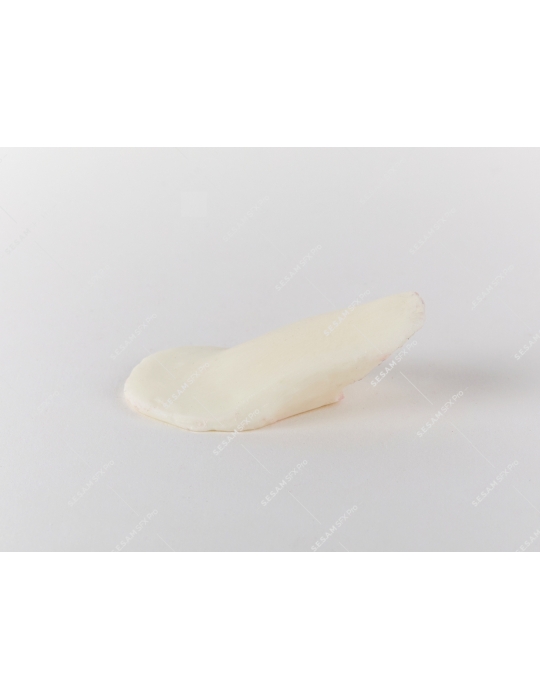 os en résine pour simuler une fracture os en résine pour simuler une fracture