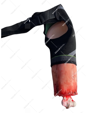 Bras sectionné pour entrainement garrot damage control