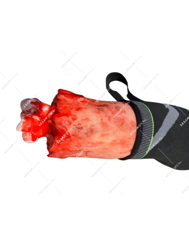 Bras sectionné pour entrainement garrot damage control 2