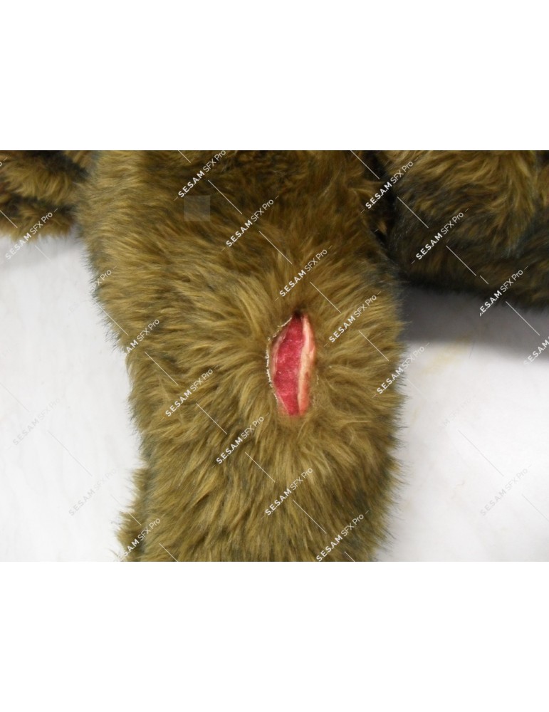 Trousse blessures pour secourisme canin