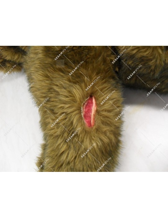 Trousse blessures pour secourisme canin